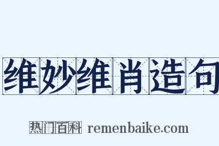 维妙维肖造句是什么意思的图片